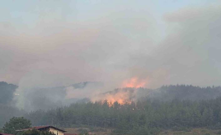 Sakarya’da orman yangınına 8 helikopter, 5 uçak müdahale ediyor
