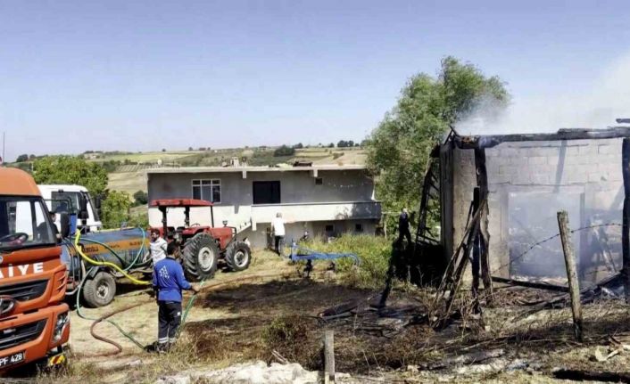 Sakarya’da saman deposunda çıkan yangın tarım arazilerine sıçradı
