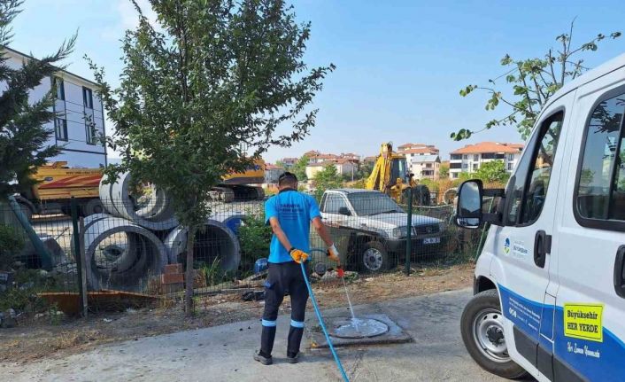 Sakarya’da vektörle mücadelede yoğun çalışma