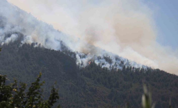 Sakarya’da yangın 24 saattir sürüyor, alevler zaman zaman yeniden yükseliyor