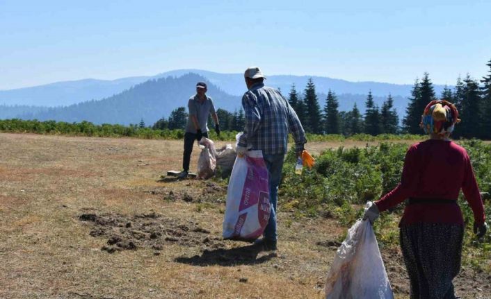 Sakarya’da yangınlar sonrası temizlik: Ormandan çıkanlar şaşırttı
