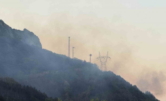 Sakarya’daki orman yangını kısmen kontrol altına alındı