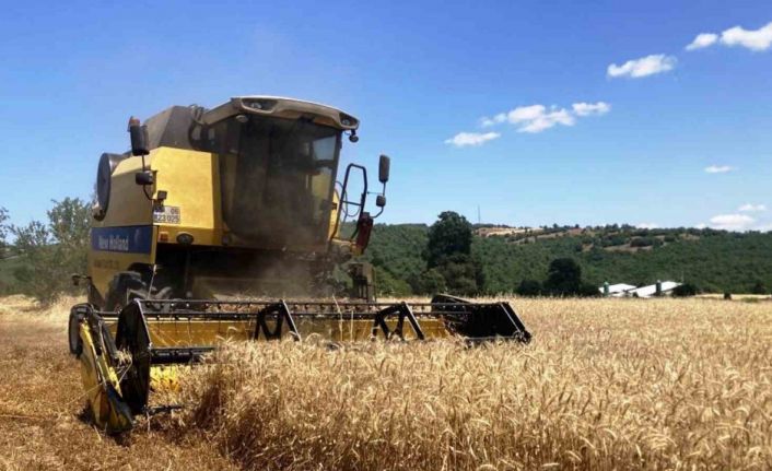 Samsun bitkisel üretimde hedef büyüttü