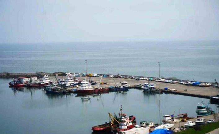 Samsun’da 2025 yılında 65 bin 658 ton balık üretimi planlanıyor