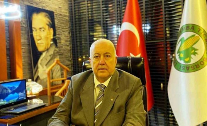 Samsun’da fındık rekoltesi tahmini belli oldu: 91 bin 456 ton