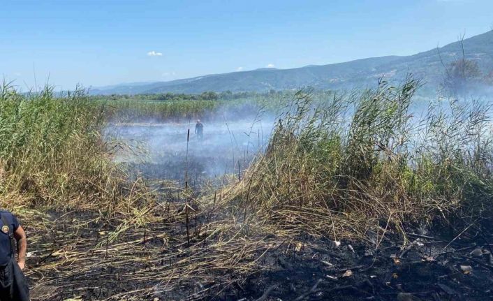 Sapanca Gölü’ndeki sazlık alanda yangın çıktı