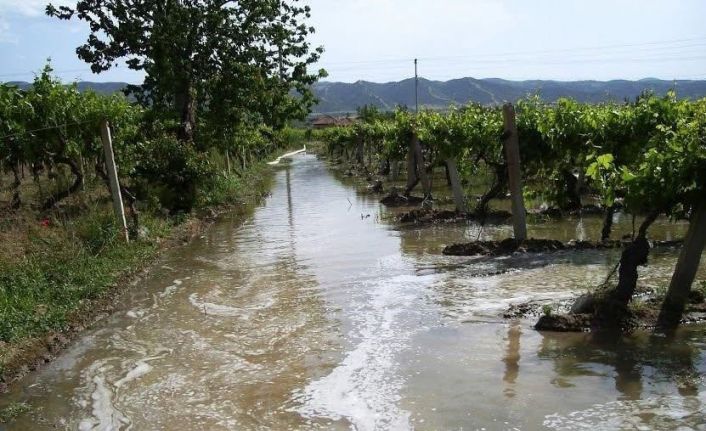 Sarıgöl Ovası’nda üzüme can suyu