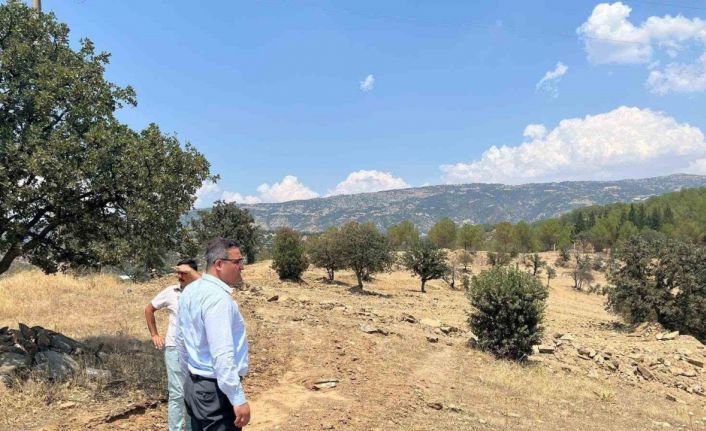 Sarıgöl’e sokak hayvanları için doğal yaşam alanı yapılacak