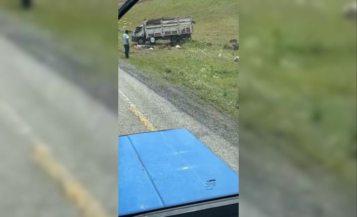 Sarıkamış’ta kamyonet devrildi