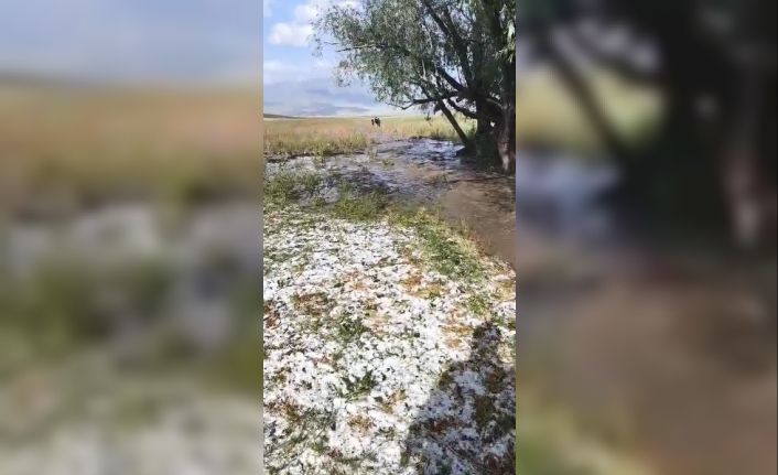 Sarıkamış’ta sağanak yağış sele neden oldu: Evler ve tarım arazileri sular altında kaldı