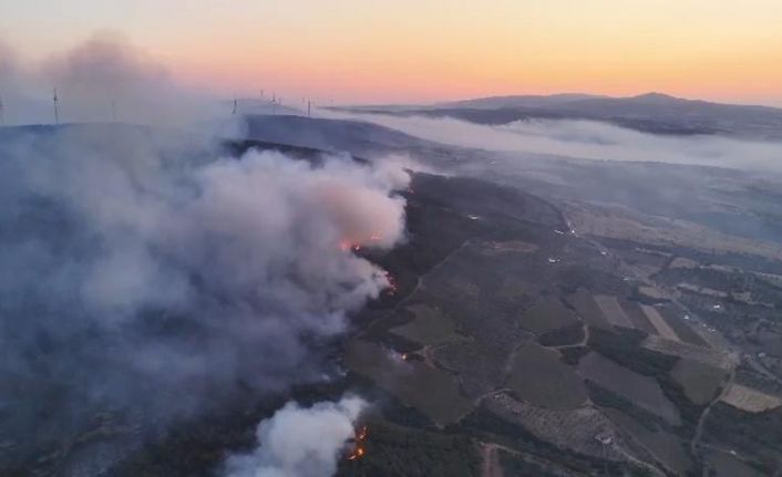 Şarköy’deki orman yangını günün aydınlanmasıyla havadan görüntülendi