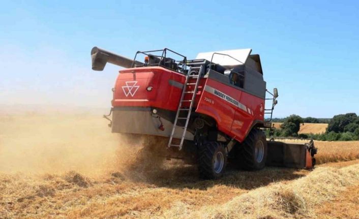 Sebzede lider, meyvede güçlü, tarımda marka şehir: Samsun
