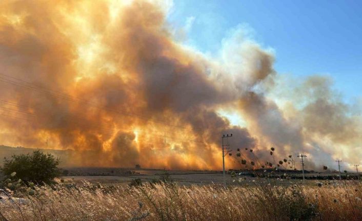 Seferihisar‘da yeni bir yangın: TOKİ konutları tedbiren tahliye edildi