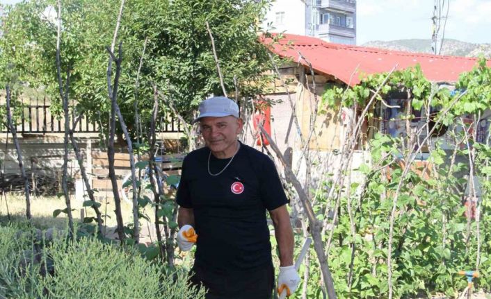 Şehir hayatından sıkıldı, mutluluğu köy hayatında buldu