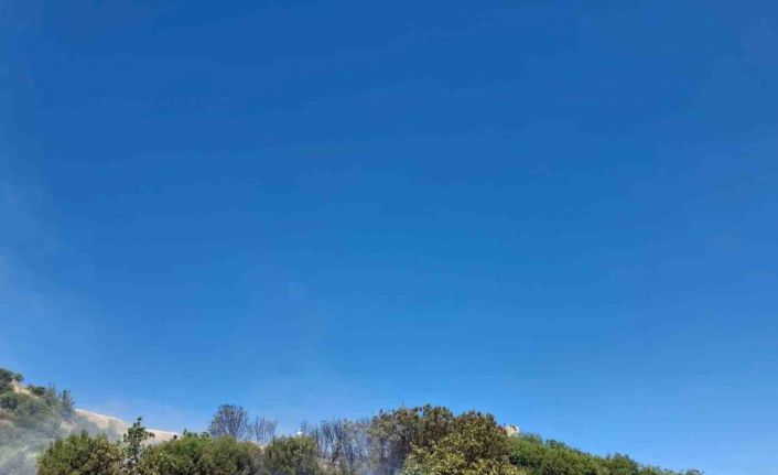 Selendi’de anız yangını korkuttu