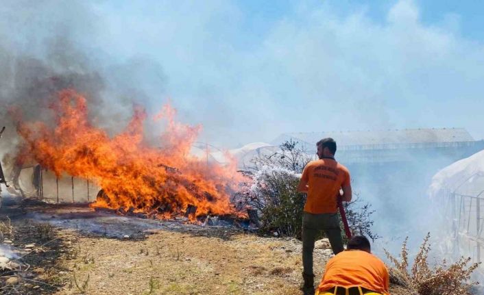 Serik’te çalılıklarda başlayan yangın 2 seraya zarar verdi