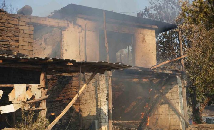 Serik’teki orman yangınında evler ve ahırlar yandı