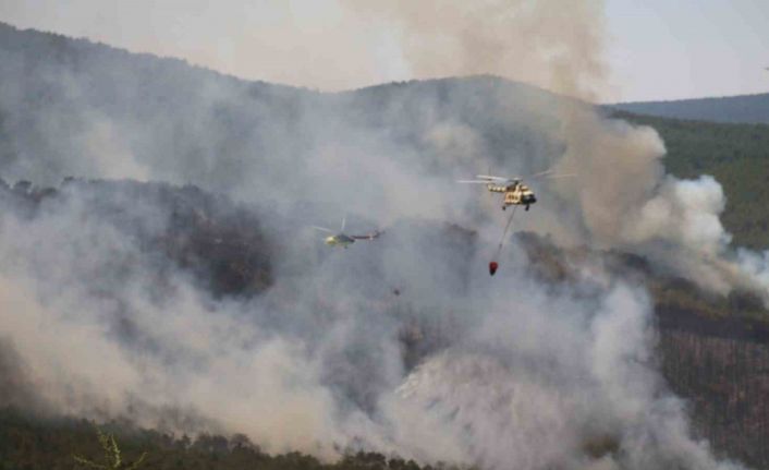 Seyitgazi’de çıkan yangın büyümeye devam ediyor