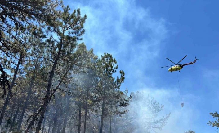 Seyitgazi’deki orman yangını kontrol altına alındı, soğutma çalışmaları sürüyor