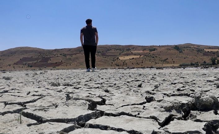 Sıcak havalar sonrası Bingöl Gölü kurudu, kuş sesleri yerini sessizliğe bıraktı