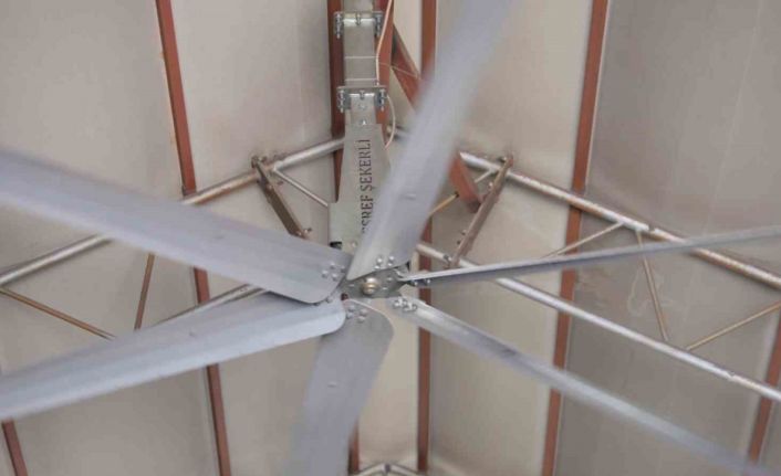 Sıcak havalarda havyanlar dev vantilatör ile serinliyor