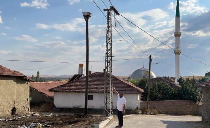 Şiddetli rüzgardan yıkılmıştı, yeniden kurulan yuva misafirlerini bekliyor