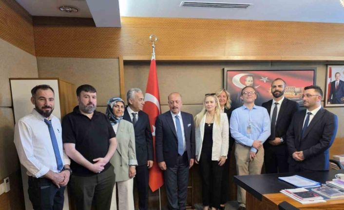 ‘Sigma formülü yönetmeliği’ Anayasa Mahkemesi gündeminde