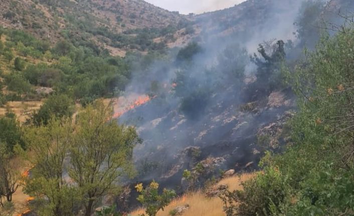 Siirt’te çıkan yangında 2 dönüm arazi zarar gördü