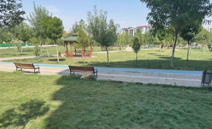 Siirt’te sıcaktan fenalaşan kadın bayıldı