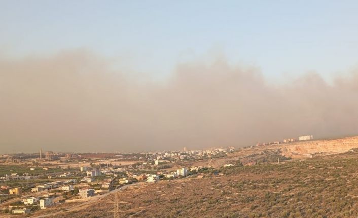 Silifke’de orman yangını