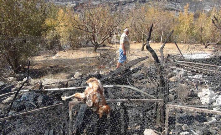 Silifke’deki orman yangını büyük ölçüde kontrol altına alındı