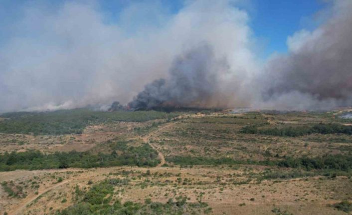 Silivri’de tarım alanlarındaki yangın ormana sıçradı