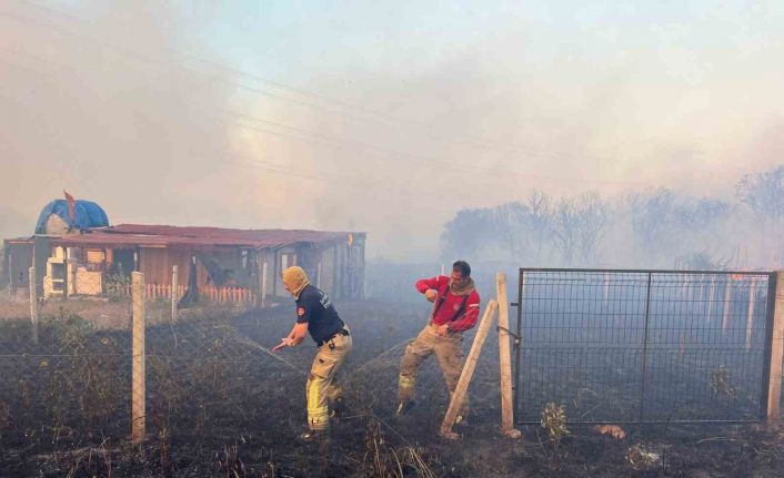 Silivri’deki orman yangını mangaldan çıktı, 1 gözaltı