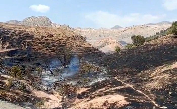 Silopi’de örtü yangını
