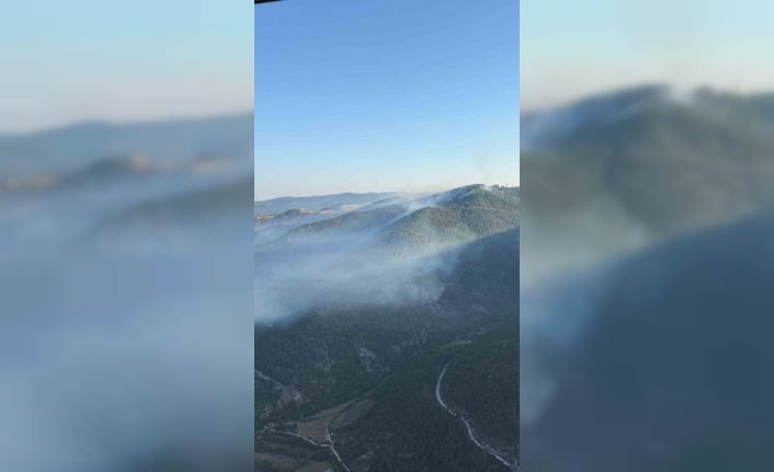 Sındırgı’da yangına sabah müdahalesi