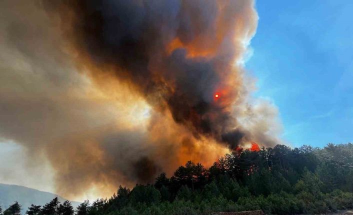 Sındırgı’daki orman yangınını söndürme çalışmaları sürüyor