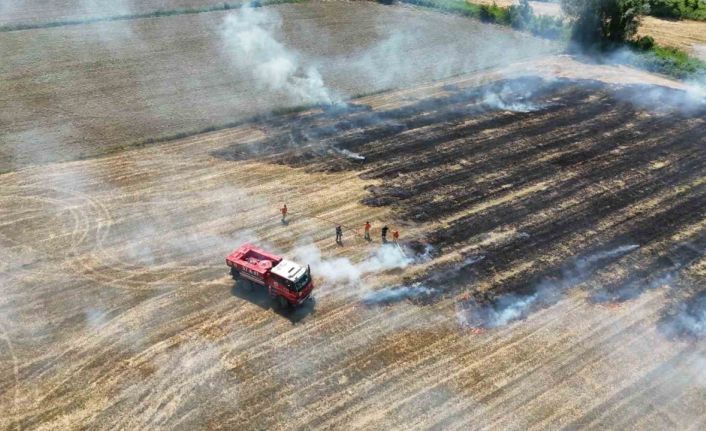Sinop’ta anız yangını paniği