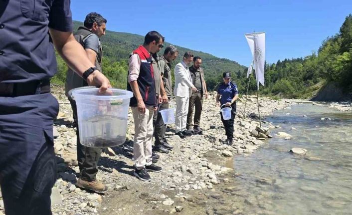 Sinop’ta derelere kırmızı benekli alabalık takviyesi