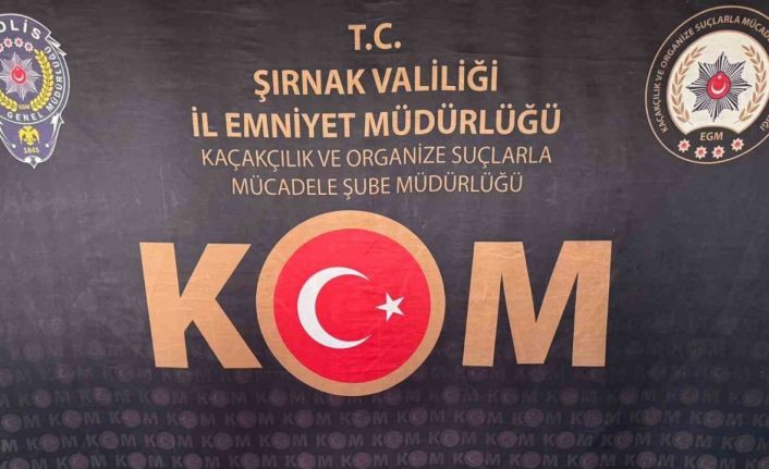 Şırnak’ta asayiş, kaçakçılık ve narkotik operasyonu: 1 tutuklama