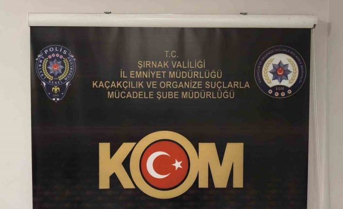 Şırnak’ta asayiş, kaçakçılık ve narkotik operasyonu: 35 şüpheli hakkında yasal işlem yapıldı