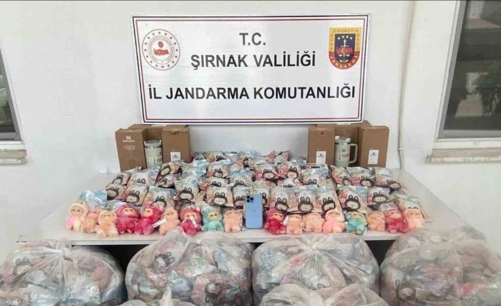 Şırnak’ta jandarmadan mali, narkotik ve kaçakçılık operasyonu