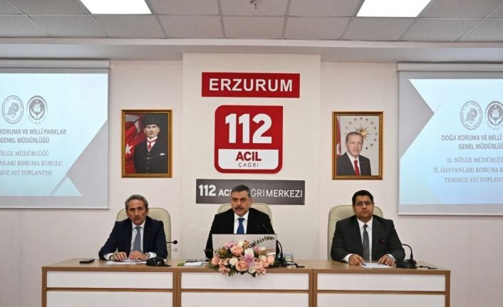 Sokak hayvanları mercek altında