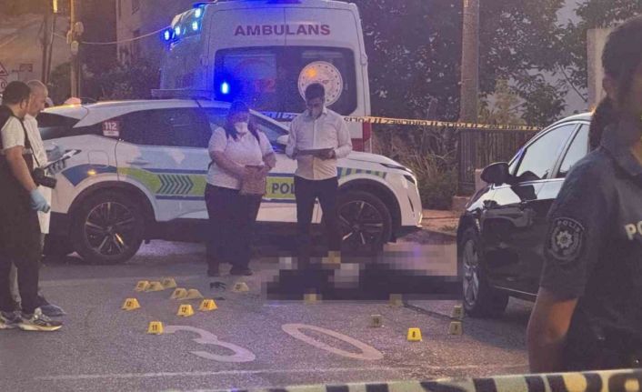 Sokak ortasında çifte cinayet: Baba ve oğul hayatını kaybetti