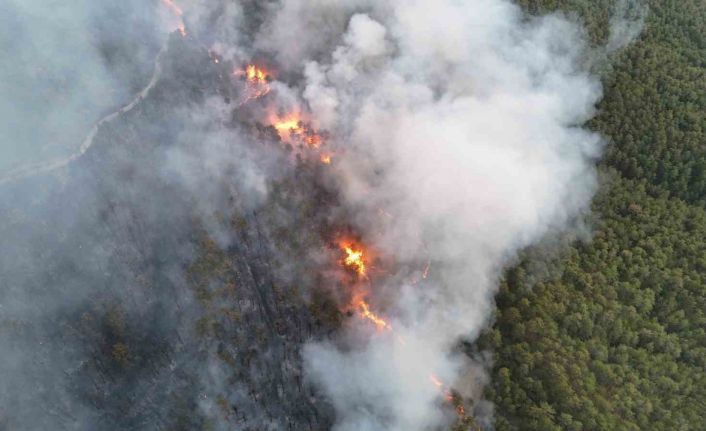 Söndürülen yangın yeniden alevlendi, 95 ev tahliye edildi
