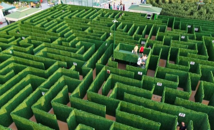 Soruları bilemeyen labirentten çıkamıyor