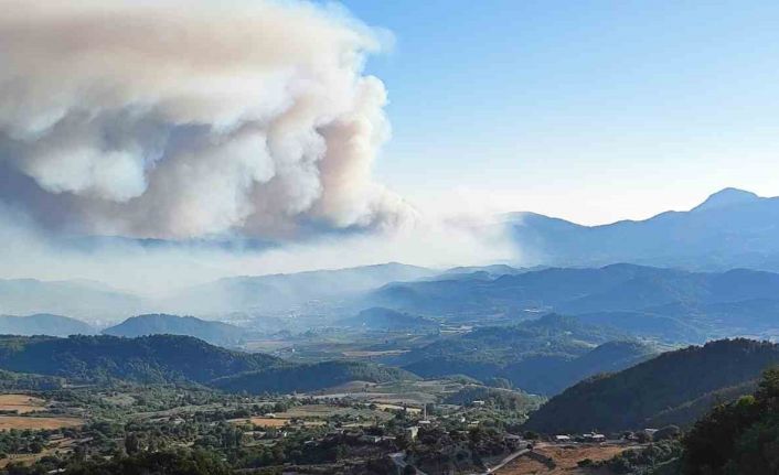 Suriye’de devam eden orman yangını Türkiye sınırına ulaştı