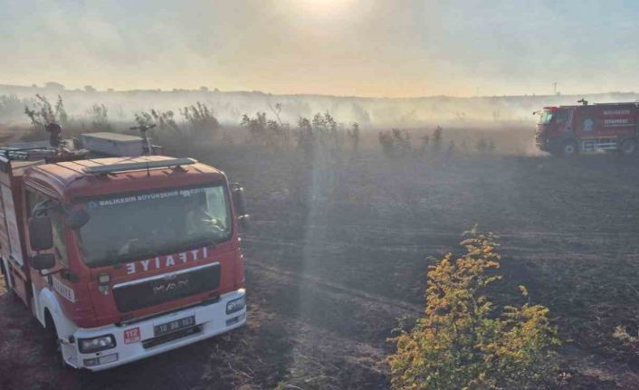 Susurluk’taki orman yangını kontrol altına alındı