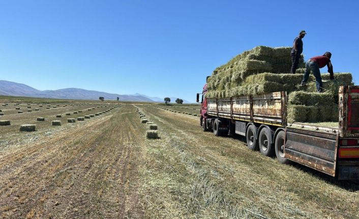 Talas Belediyesi’nden yem desteği