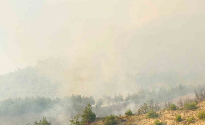 Tarihi İpek Yolu yanıyor