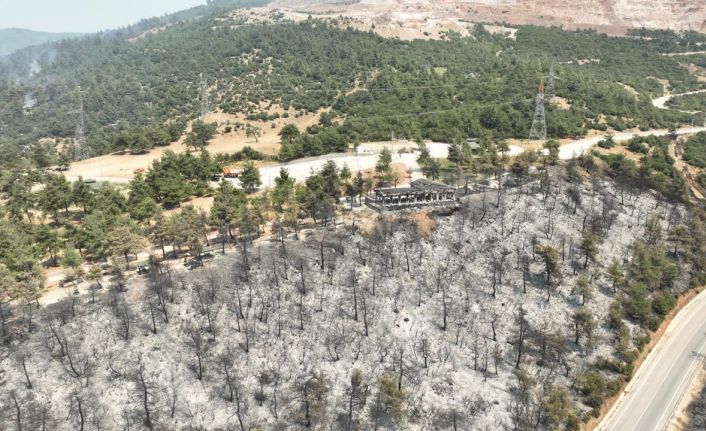 Tarihinin en büyük Gürsu yangınından yürek burkan bu manzaralar kaldı